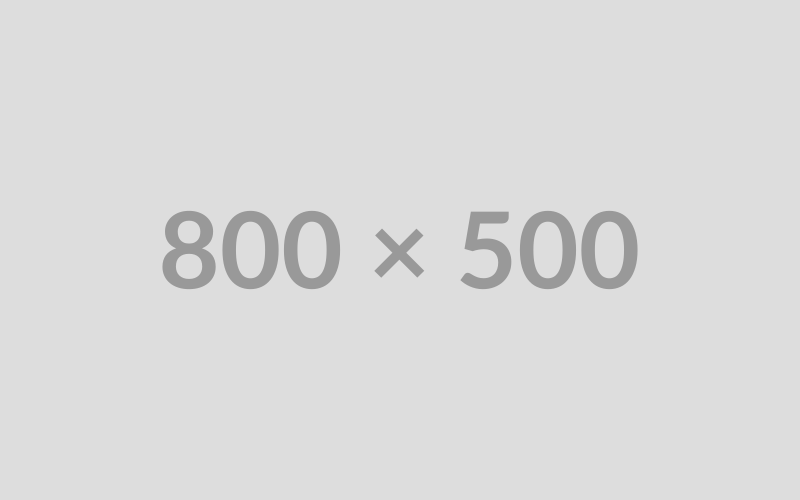 800x500